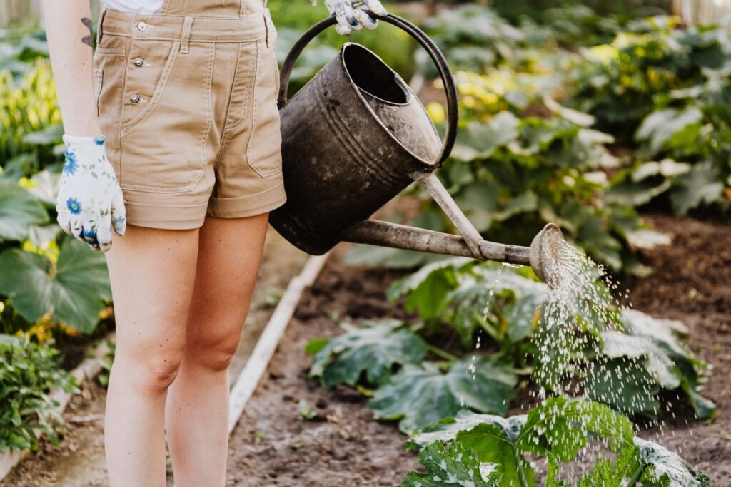 Photo by Karolina Grabowska: https://www.pexels.com/photo/person-in-brown-shorts-watering-the-plants-4750270/